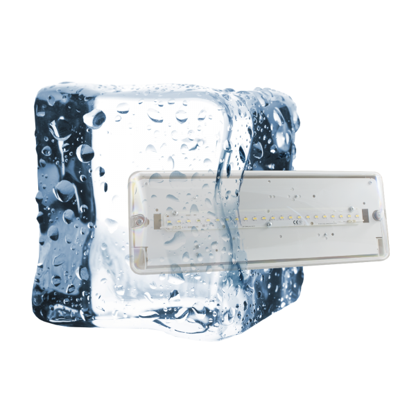 IZAR S ICE