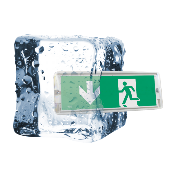 IZAR ICE